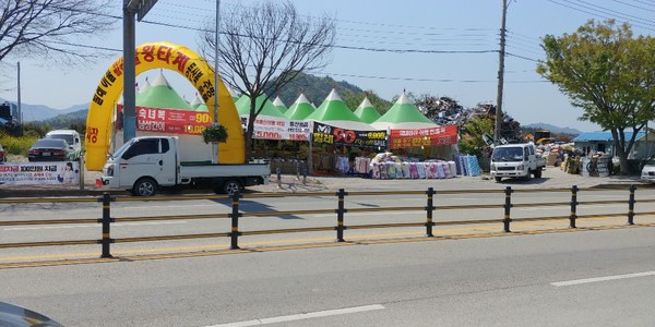 최근 대흥사 사거리 논에 이동식 상설매장이 들어서자 지역상인들은 지역경제를 더 어렵게 한다며 하소연하고 있다. 