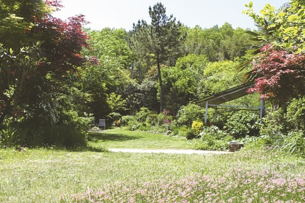 옥천면 마고마을 은향다원 김은숙·정두채 부부의 1,000평 규모의 정원은 식물원이라 불릴만큼 볼거리가 많다.