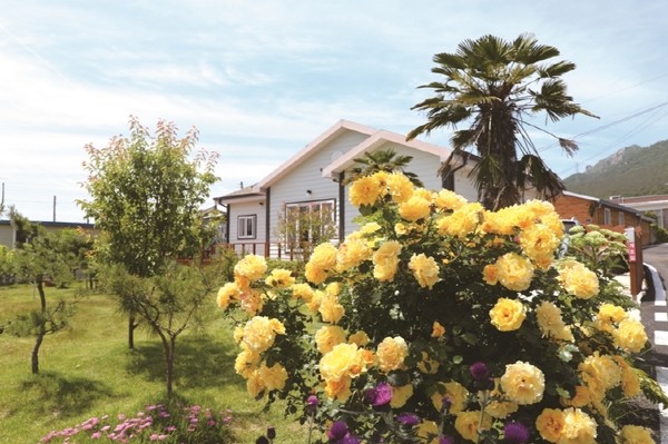 북평면 달마산 자락 이수홍·문송임 부부가 손수 가꾸는 정원은 하얀 집과 노란 장미, 종려나무가 이국적인 풍경을 만들어낸다. 