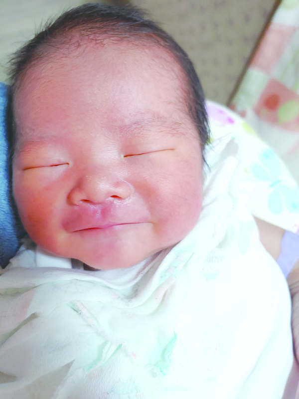 해남읍 백야리 오우진 