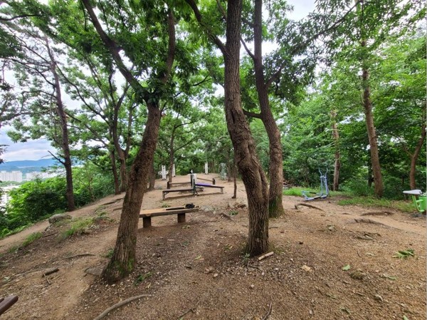 천안시 일봉산은 민·관, 민·민의 이해관계가 상충하면서 막대한 사회적 비용을 낭비하고 있다.