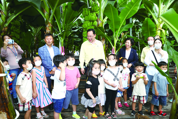 북평면 와룡마을에 위치한 땅끝농부 바나나 농장에서 바나나 축제가 열렸다.