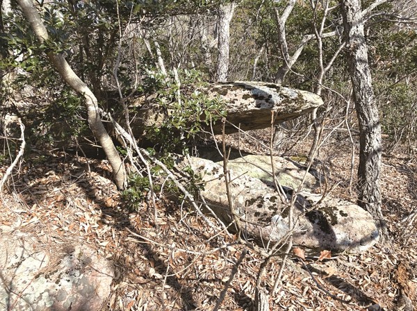 현산면 읍호리 산에서 200여기에 이른 고인돌과 고인돌을 채취한 채석장이 확인됐다.(고인돌을 채석하다 만 석재 모습)