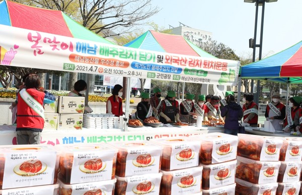 중국산 김치에 대한 경각심이 높아지고 있는 가운데 지난 4월 해남군여성단체협의회가 해남배추를 애용하자는 의미로 김장을 담고 있다.