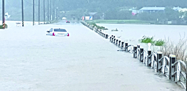 81년 에그니스 태풍 이후 가장 큰 비가 내린 지난 6일 오전, 현산면 일평에서 송지 금강 길목의 논과 도로가 물에 잠겼다.