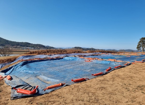 8차 발굴이 진행 중인 군곡리 현장.