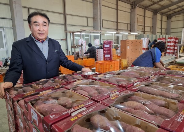 화산농협의 고구마 판매량이 매년 최고액을 경신하며 전국 단위농협 중 단일품목으로 최고액을 기록하고 있다. 