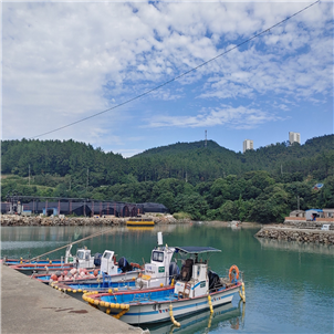 쇠퇴하고 있는 어촌을 살리기 위한 어촌뉴딜300사업이 해남 7개 항에서 추진되고 있다. (송지면 갈산항)