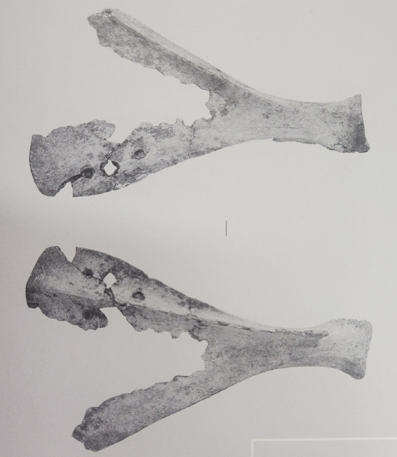 송지면 군곡리 출토(국립광주박물관)