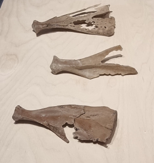 광주 신창동 출토(국립광주박물관)