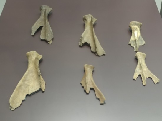 경남 김해 회현리 출토(국립김해박물관)