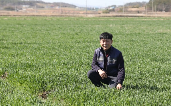 황산면 연자리 민홍기씨는 친환경농업인으로 지난 18년 동안 친환경 농업을 몸소 실천해왔다.(친환경 귀리 경작지)