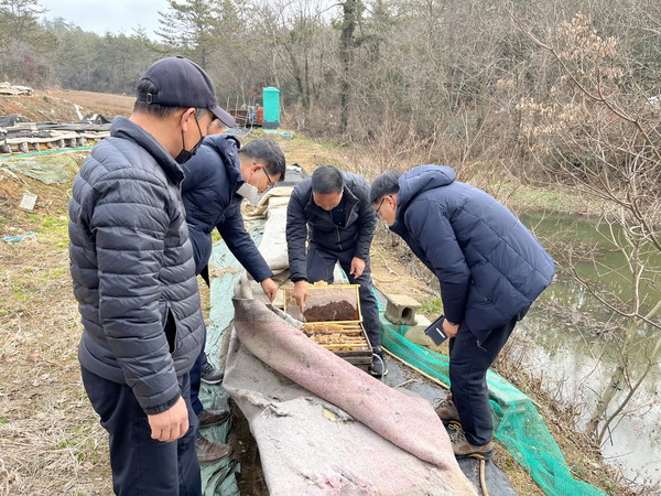 꿀벌 70%가 폐사된 가운데 해남군이 입식비 8억원을 긴급 지원했다.