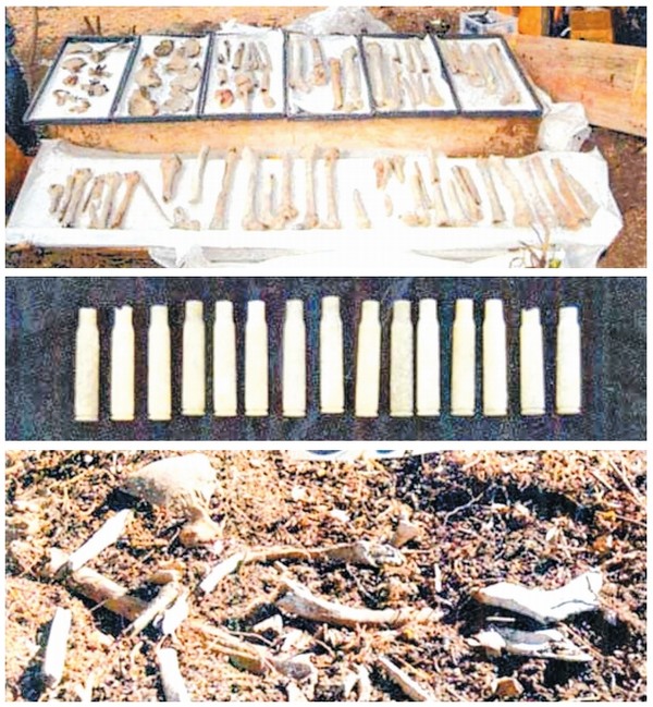 해남 민간인들이 집단 학살된 진도 갈매기섬에서 제2차 유해발굴이 진행된다.(2009년 제1차 유해발굴 모습)