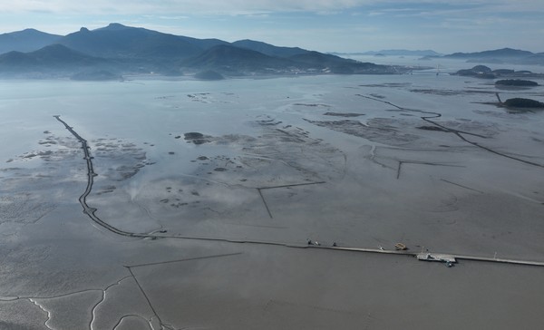 북평 와룡마을 노두길은 겨울이면 파래와 감태길이 된다. 그 길 위에는 와룡마을 엄마들의 삶이 차곡차곡 쌓여있다.