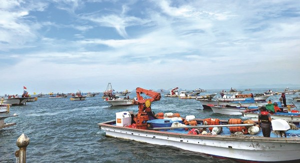 만호해역의 김양식이 중단 되면서 어란 어민들의 대출금 상환도 막혔다.