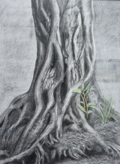 김두홍 작가의 ‘미황사 나무’ 