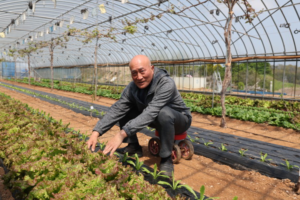 송지면 이국노씨는 하우스 한 동에서 10가지 채소가 한 번에 자라는데 4개동에서 출하하는 품목만 80개에 이른다.  
