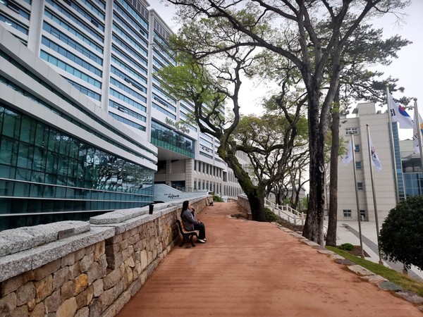 해남군청 앞에 위치한 성곽카페는 500년 역사를 품고 있으며, 야간에 더욱 아름답다. 