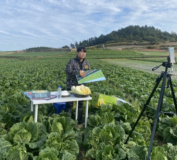 북평 아르뫼영농조합 법인 이에녹 대표가 배추 생산지에서 소비자와 만나기 위한 라이브커머스를 준비하고 있다.