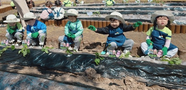 해남군이 조성한 공동텃밭에 어린이들이 채소를 심고 있다.