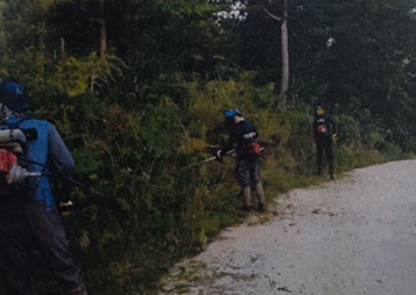 해남군은 조림지 풀베기에 이어 도로변 칡넝쿨 제거사업을 대대적으로 추진한다.