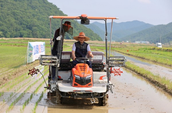 해남군이 장립종 벼 대량 재배에 들어간 가운데 현산면에서 현장연시회가 열렸다. 