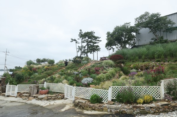 황산면 징의마을 길가에는 바다화가 김향희씨가 매일 돌보는 2,000평 규모의 정원이 있다. 