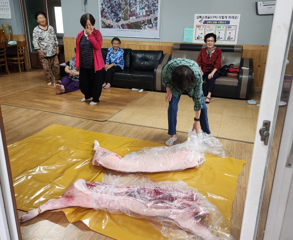 양무리교회가 창립기념일에 맞춰 읍 17개 마을에 도축돼지 한 마리씩을 전달했다. 
