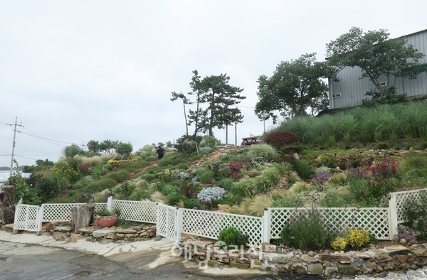 전라남도 예쁜정원 콘테스트에서 '해남에 살고 싶다' 정원이 우수상의 영예를 안았다.