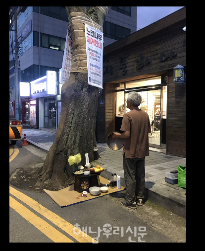 사진제공 : 해남탐조모임 새봄 이지영 대표