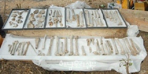 2007년 정부산하 과거사위원회는 진도 갈매기섬 민간인 학살 진실규명에 이어 2009년 제1차 유해발굴을 진행했다.