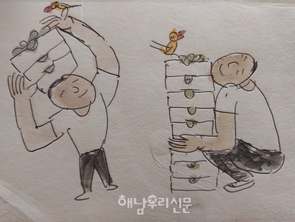 ‘득규네 무화과 농장’ 박득규 농부가 키운 청무화과는 해남군 로컬푸드직매장에서 만날 수 있다.