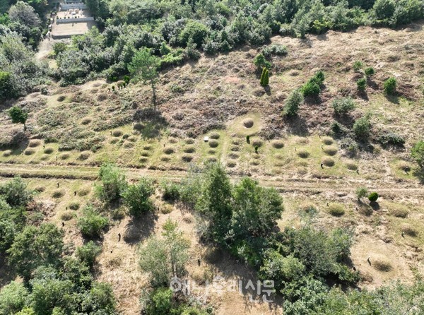 장례문화의 변화와 각종 개발공사로 읍면에 흔하게 존재했던 공동묘지가 사라지고 있다.(해남읍 신안공동묘지)
