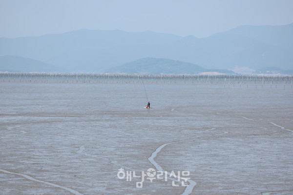 9월15일 ‘징의마을 짱뚱어축제’가 열리는 가운데, 축제당일 마을 주민 김상철씨의 홀치기 낚시 시연을 볼 수 있다.