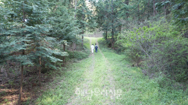 현산면 학의마을에 위치한 ‘간만의 숲’이 가을을 맞아 오는 10월 단 4일만 문을 연다.