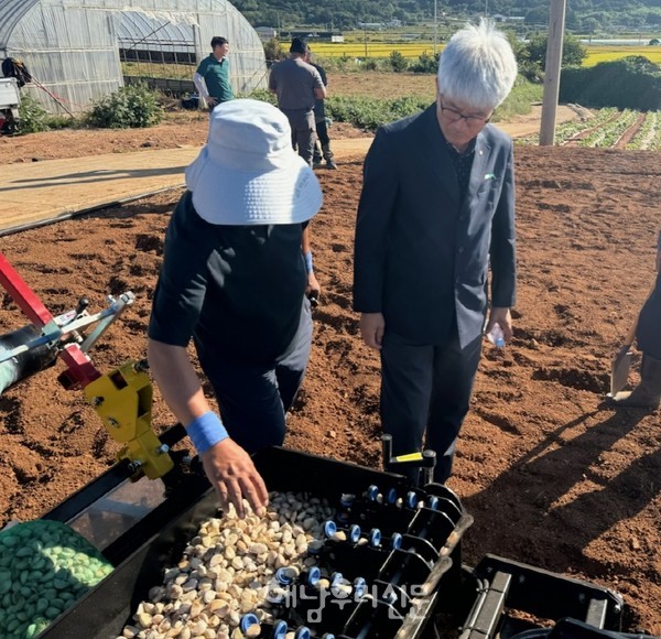 땅끝농협이 시행하고 있는 마늘기계화 지원사업이 농가의 인건비 등 생산비 절감으로 큰 호응을 얻고 있다.