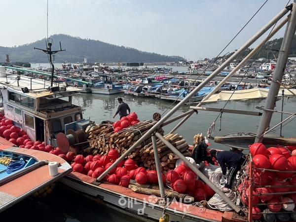 1년 만에 다시 바다로 나설 어란 김 양식 어민들이 분주하게 올겨울 바다농사를 준비하고 있다.