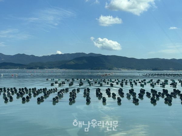 해남군은 김 값 1,000억 달성을 목표로 고품질 김생산에 총력을 기울이고 있다.