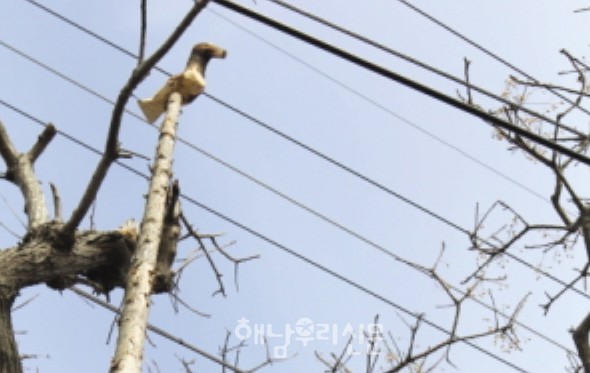 황산면 송호리 솟대