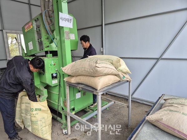 농기계 임대사업장에서 가장 인기있는 기계는 콩을 까는 셀프작업장이다.