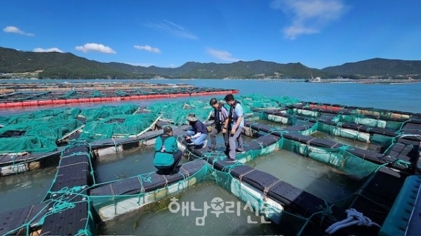소비위축으로 전복값이 하락세를 이어가고 있다.