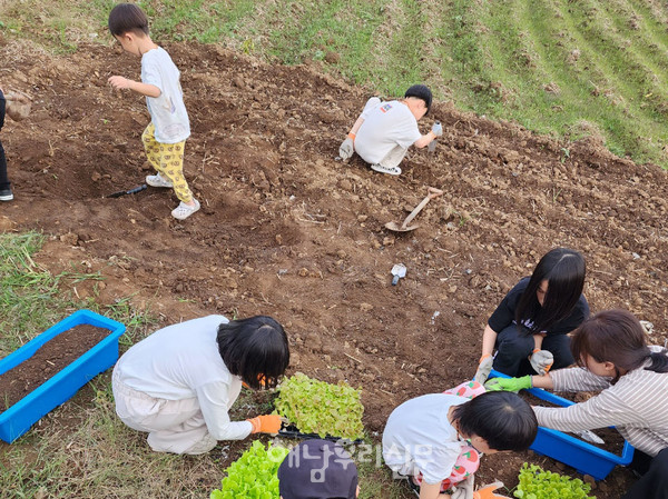 귀촌인과 원주민이 함께 공동체를 배워가는 ‘북일블루스’는 아이와 어른이 함께 지역의 문화와 공동체를 배워간다.