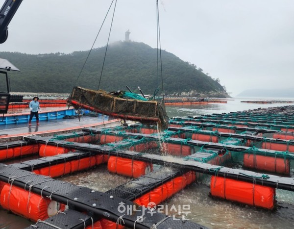 전복판매 부진으로 어려움에 처한 어가들이 크게 늘면서 대책방안이 시급한 상태다.