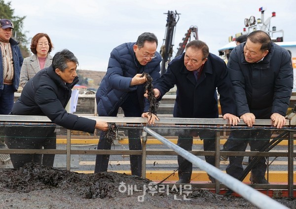 물김 가격 안정화를 위해 명현관 군수와 박종부 의원이 화산면 구성리 김 위판장을 찾아 김 위판상황을 점검하고 있다.