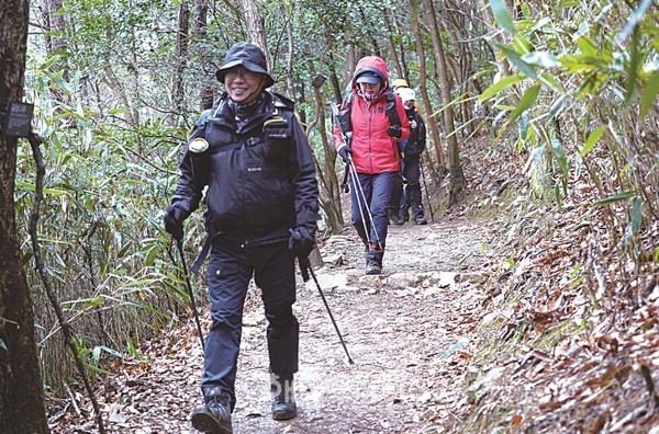 봄이 시작된 달마고도 걷기 행사가 매주 토요일 열린다.