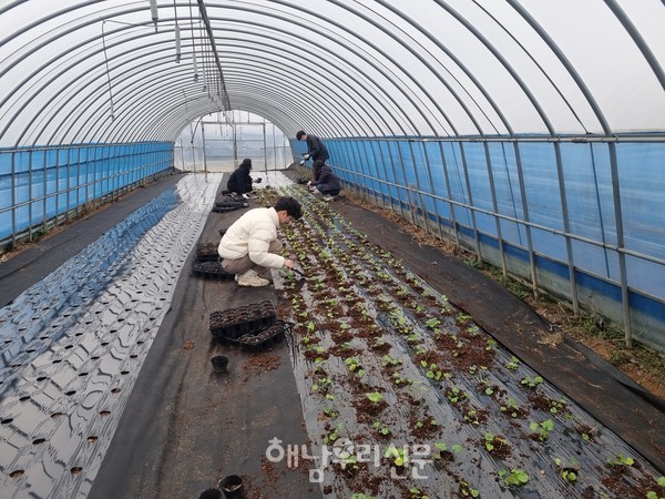 해남군농업기술센터 5개 연구팀은 기후변화에 대응할 특화작목 실증연구를 추진하고 있다.