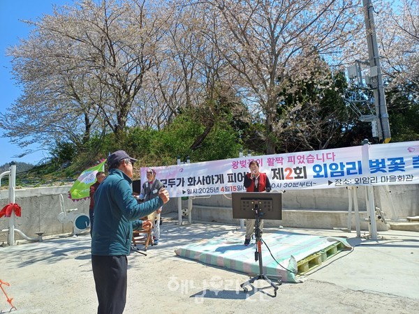 문내면 외암마을에서 주민화합을 위한 제2회 벚꽃축제가 열렸다.