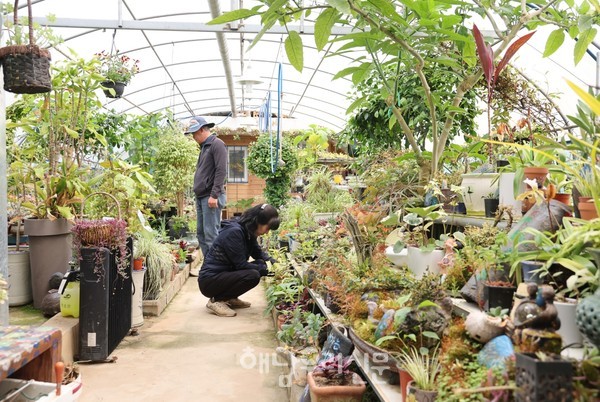 황산면 우항리 김형태·이미나 부부는 각자의 하우스에서 자신의 취미생활을 하며 즐겁게 살아간다.