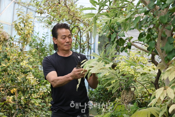 마산면 화내리 숨겨진 비밀의 정원과 하우스에는 박석정씨가 수집해온 1,000여종의 무늬종 식물이 자라고 있다.